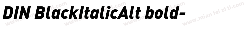 DIN BlackItalicAlt bold字体转换